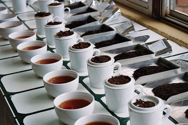Rows of white china cups hold different grades of organic tea