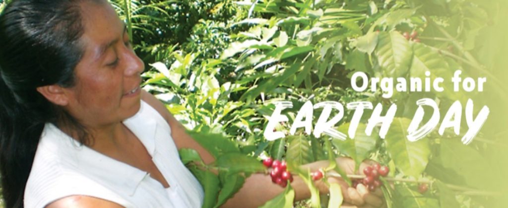 Image shows female farmer picking coffee beans with text, "Organic for Earth Day"