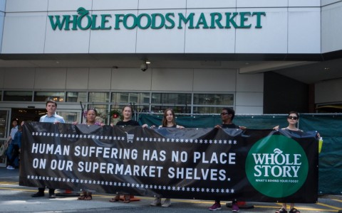 whole foods banner
