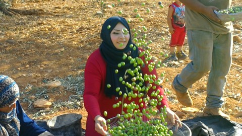 A woman tosses olives in the air.