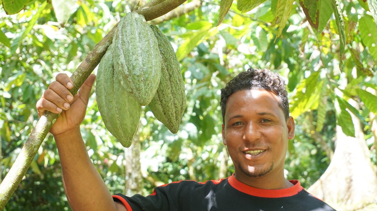 A smiling man poses with green cacao pods.