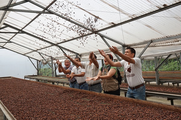 Cacao coop members joyfully toss beans into the air.