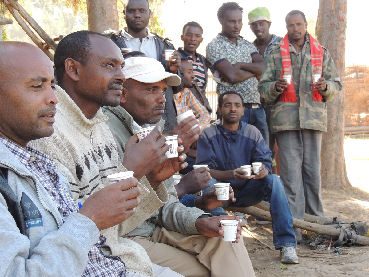 Men in Ethiopia hold small paper cups of fair trade organic coffee