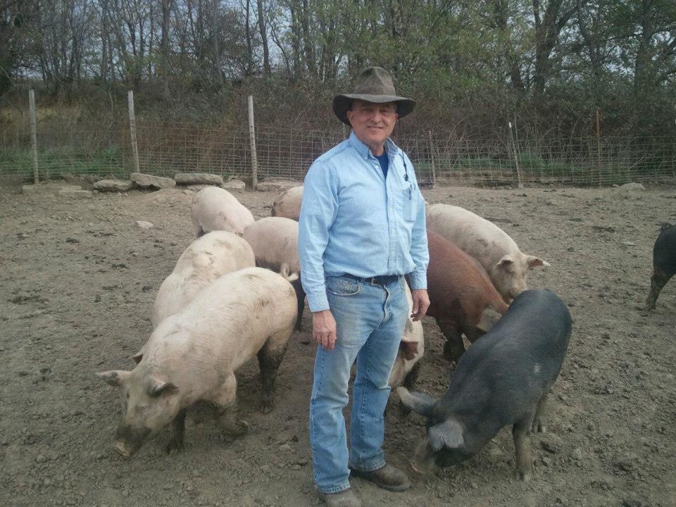A man and his hogs.