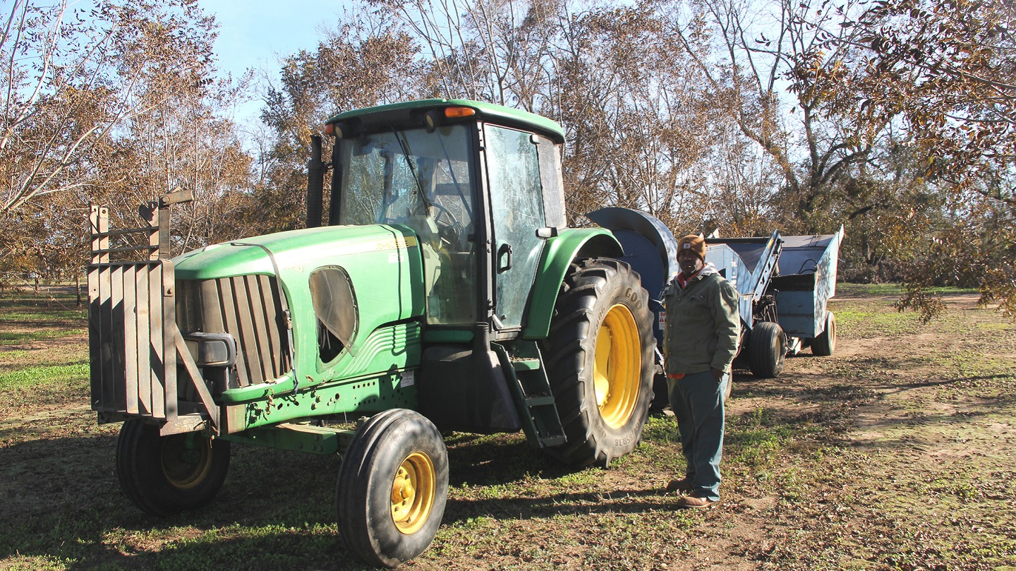 A man stands in front of a tractor in a pecan grove