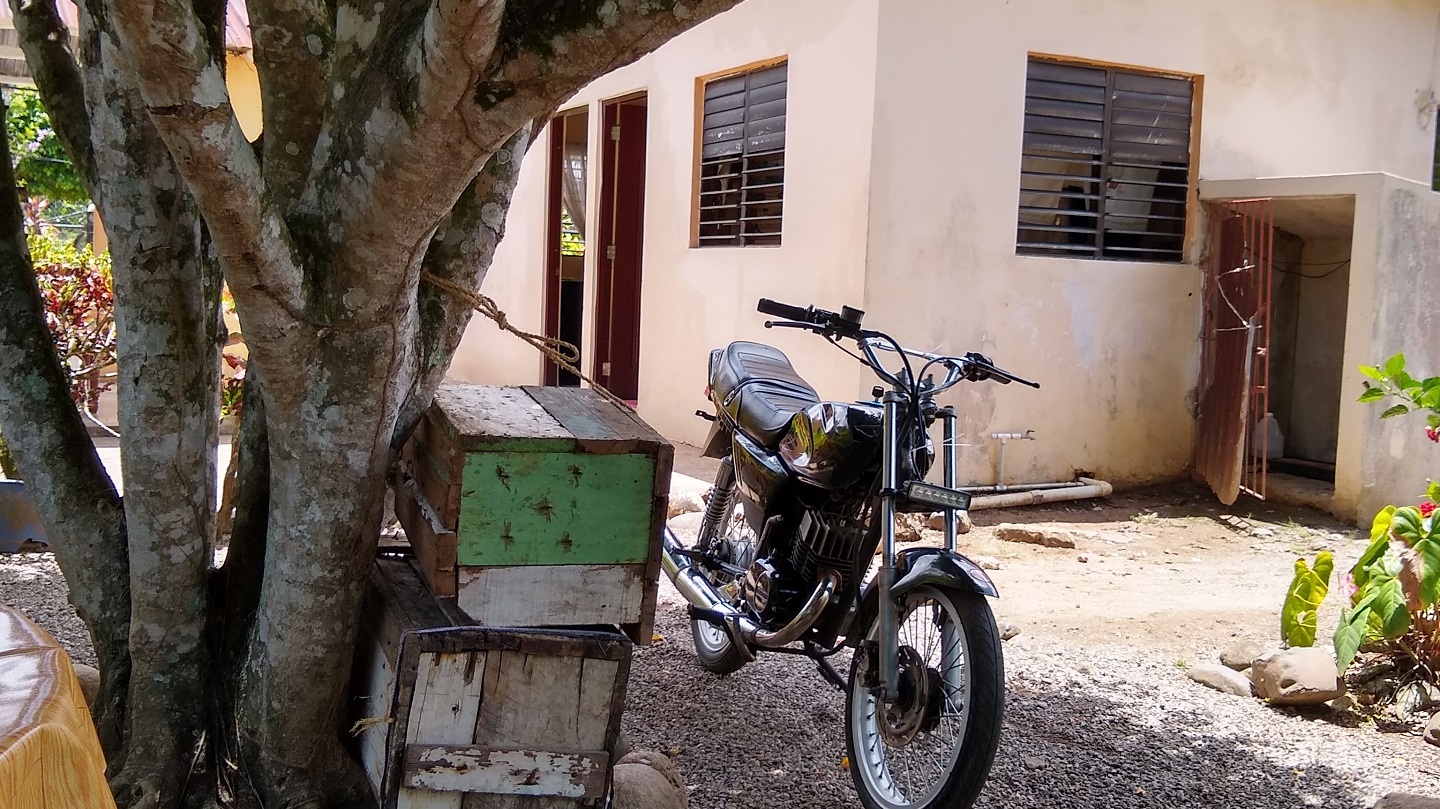 A motorbike parked under a tree
