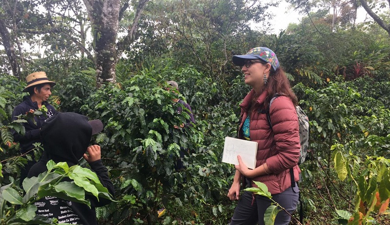 A woman and two men talk about coffee prices in a forested area