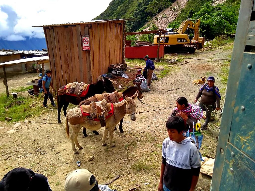 People use burros to bring food to a truck