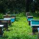 A group of bee hives in Mexico.